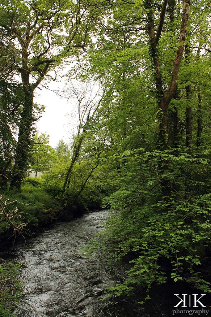 Killarney National Park  river